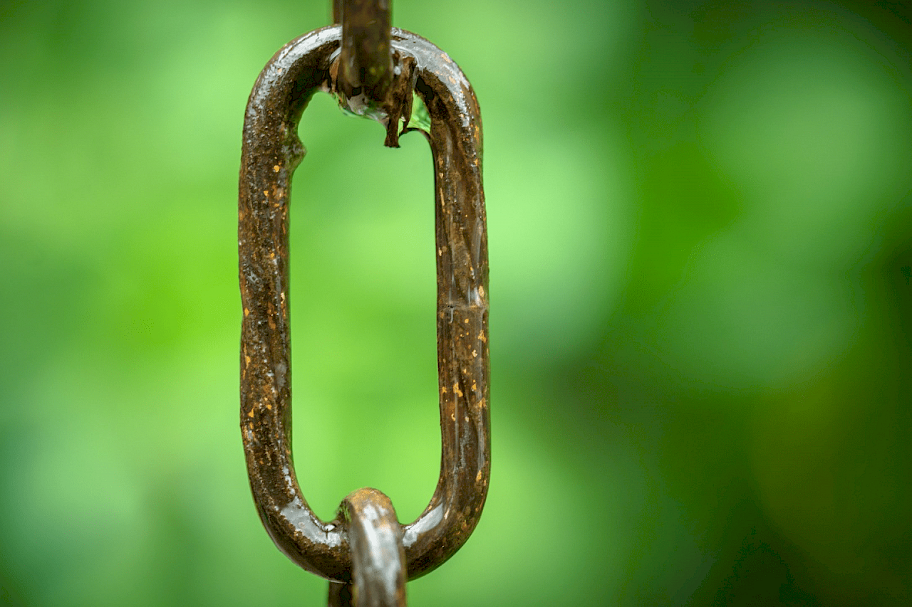 Chain link